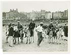 Sands Donkeys August 1932 [Photo]